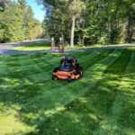 lawn care service